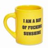 Shooters & Shot Glasses * New Ray Of Fucking Sunshine Mug Shot Glass 1.5 Oz. Multi-Color