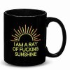 Coffee Mugs * Buy Ray Of Fucking Sunshine Light Coffee Mug 20 Oz. Black